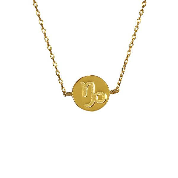 Capricorn Horoscope Gold Vermeil Zodiac Sterling Silver Necklace