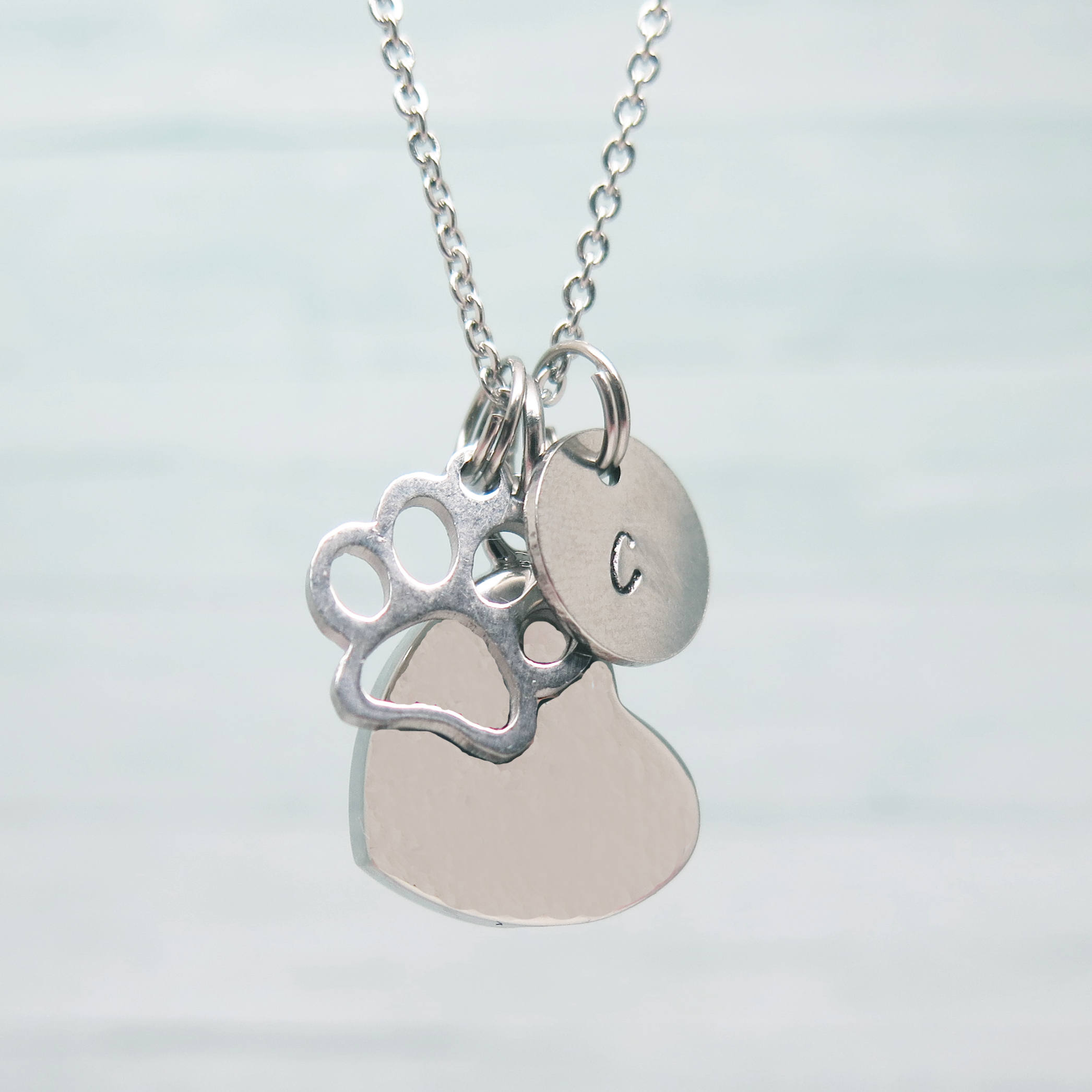 Pet Cremation Jewelry Cremation Necklace Necklace for Pet Ashes