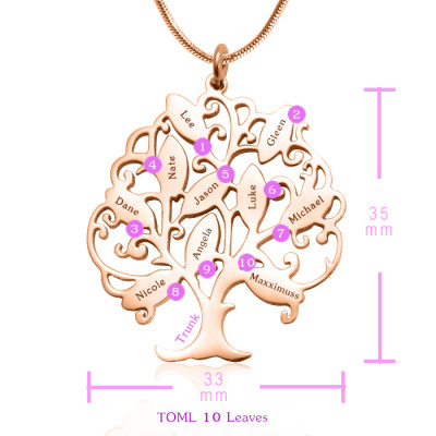 Personalised Tree of My Life Necklace 10 - 18ct Rose Gold Plated - All Birthstone™