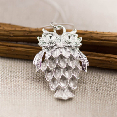 Silver Wise Owl Pendant - All Birthstone™